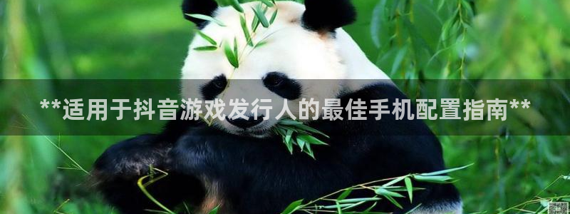 门徒平台登录步骤：**适用于抖音游戏发行人的最佳手机配置指南**