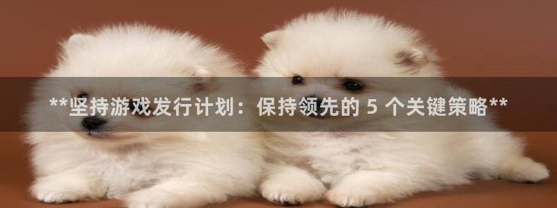 门徒在哪个平台播出：**坚持游戏发行计划：保持领先的 5 个关键策略**
