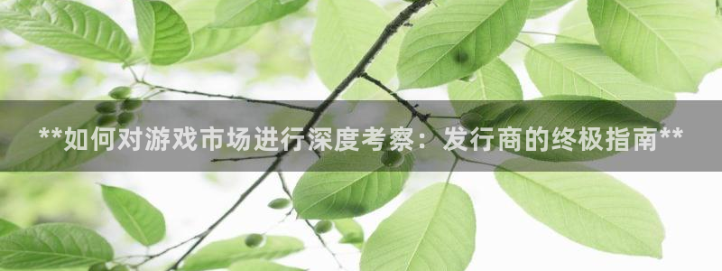 门徒平台是什么：**如何对游戏市场进行深度考察：发行商的终极指南**