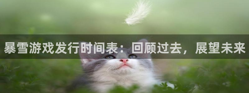 门徒娱乐提现：暴雪游戏发行时间表：回顾过去，展望未来