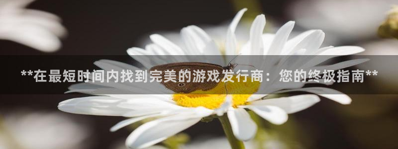 门徒娱乐线上客服：**在最短时间内找到完美的游戏发行商：您的终极指南**