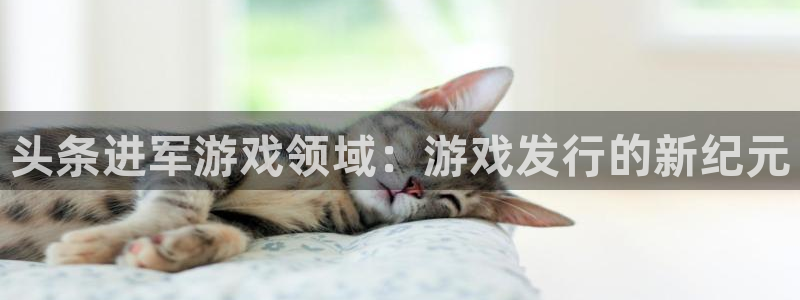 门徒娱乐企业简介：头条进军游戏领域：游戏发行的新纪元