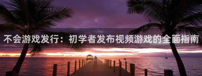 门徒娱乐怎么注册公司：不会游戏发行：初学者发布视频游戏的全面指南