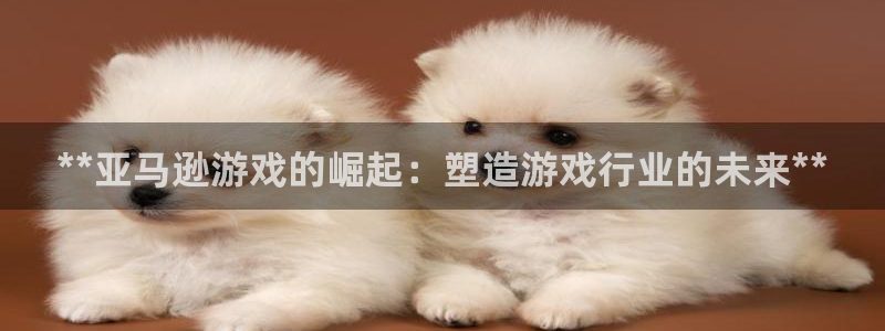 门徒在哪个平台播出：**亚马逊游戏的崛起：塑造游戏行业的未来**