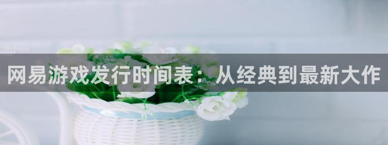 门徒平台代理怎么做：网易游戏发行时间表：从经典到最新大作