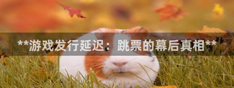 门徒平台开户：**游戏发行延迟：跳票的幕后真相**