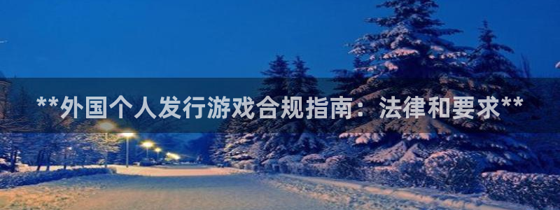 门徒平台注册登录站：**外国个人发行游戏合规指南：法律和要求**