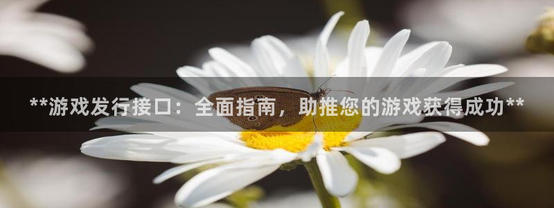 门徒平台徽信搜推客娃娃：**游戏发行接口：全面指南，助推您的游戏获得成功**