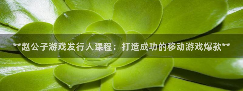 门徒平台噢 5O6917 平台：**赵公子游戏发行人课程：打造成功的移动游戏爆款**