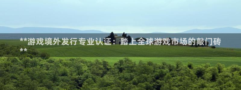 门徒平台代理多少钱：**游戏境外发行专业认证：踏上全球游戏市场的敲门砖
**