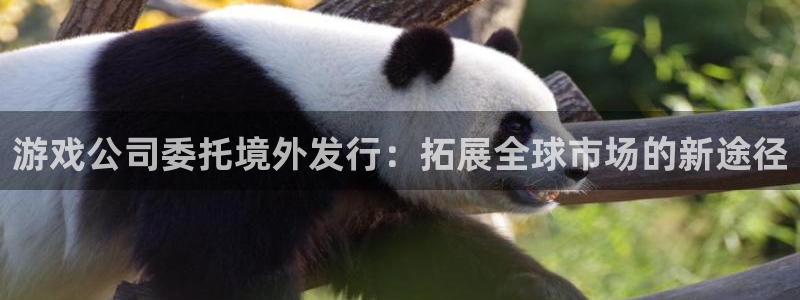 门徒平台链接：游戏公司委托境外发行：拓展全球市场的新途径