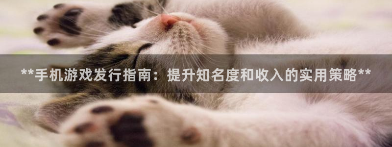 门徒平台着 58534I 平台：**手机游戏发行指南：提升知名度和收入的实用策略**
