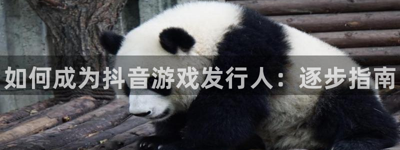 门徒平台会员注册流程：如何成为抖音游戏发行人：逐步指南