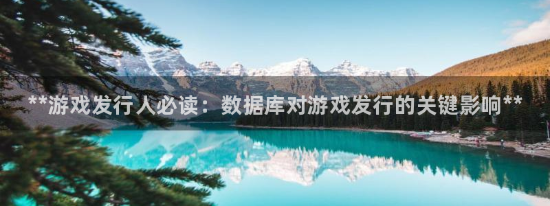 门徒娱乐QQ：**游戏发行人必读：数据库对游戏发行的关键影响**