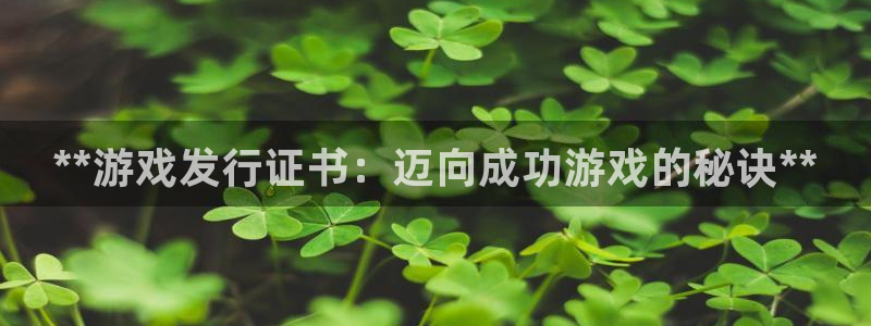 门徒平台注册登陆失败原因：**游戏发行证书：迈向成功游戏的秘诀**