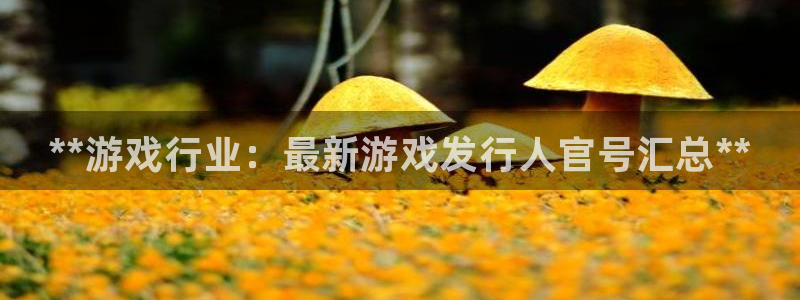 门徒娱乐财神联盟