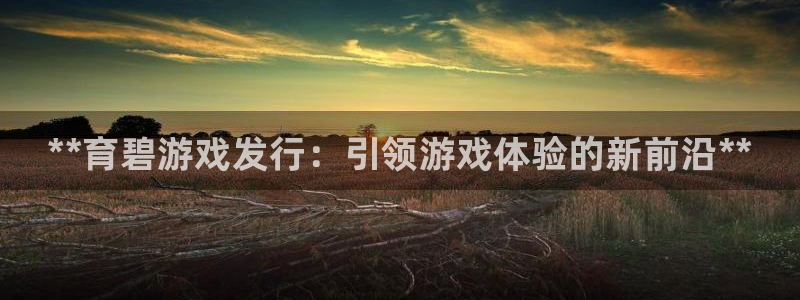 门徒娱乐奇趣分分彩：**育碧游戏发行：引领游戏体验的新前沿**