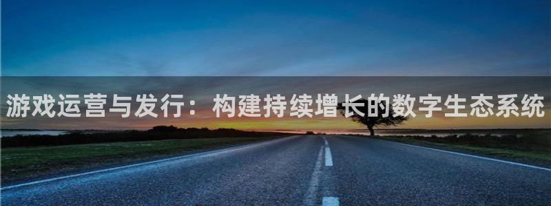 门徒平台和盛煌平台区别：游戏运营与发行：构建持续增长的数字生态系统