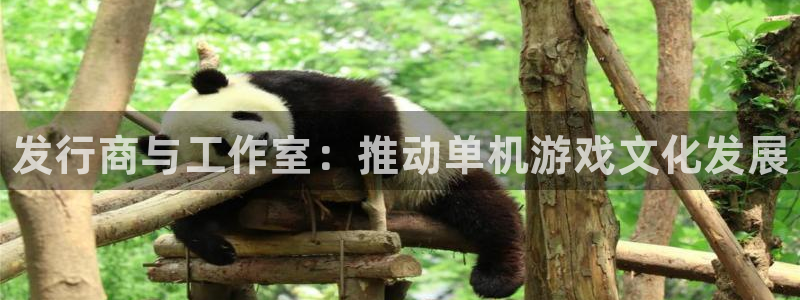 门徒娱乐平台登录入口：发行商与工作室：推动单机游戏文化发展