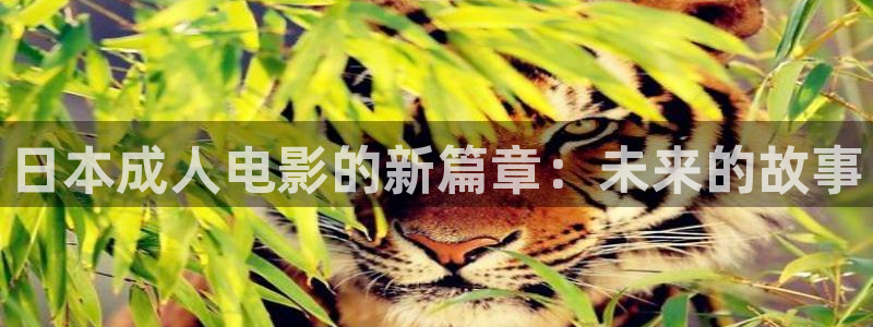 四库影视免费：日本成人电影的新篇章：未来的故事