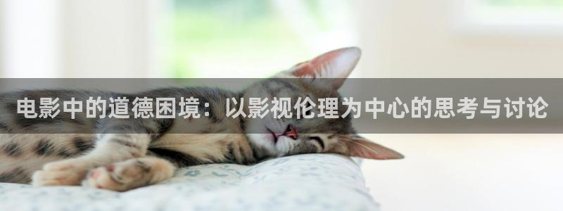 四库影影院：电影中的道德困境：以影视伦理为中心的思考与讨论