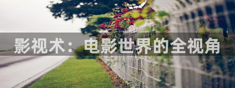 四库影院永久：影视术：电影世界的全视角