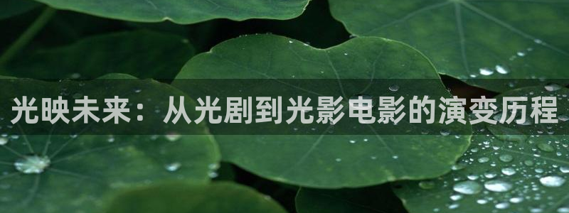 四库影院永久在线观看：光映未来：从光剧到光影电影的演变历程