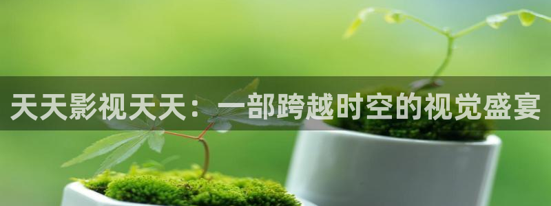 四库影院踪和网：天天影视天天：一部跨越时空的视觉盛宴