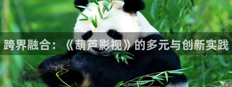 四库影库：跨界融合：《葫芦影视》的多元与创新实践