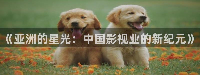 四库影院电视剧大全高清：《亚洲的星光：中国影视业的新纪元》