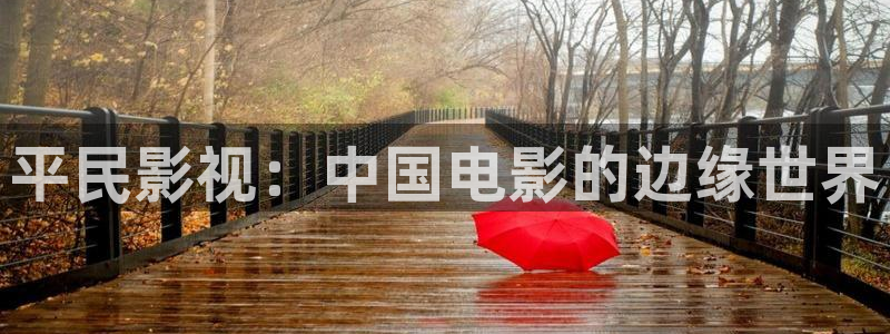 四库影院免费观看电视剧：平民影视：中国电影的边缘世界