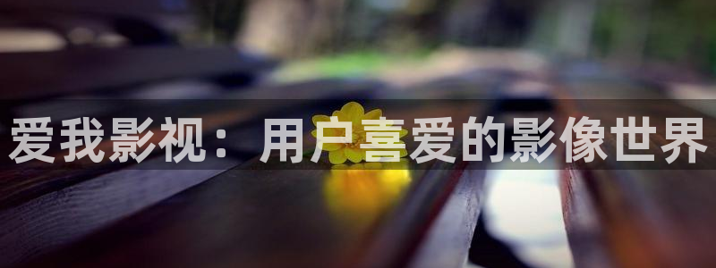 海外四库影院：爱我影视：用户喜爱的影像世界