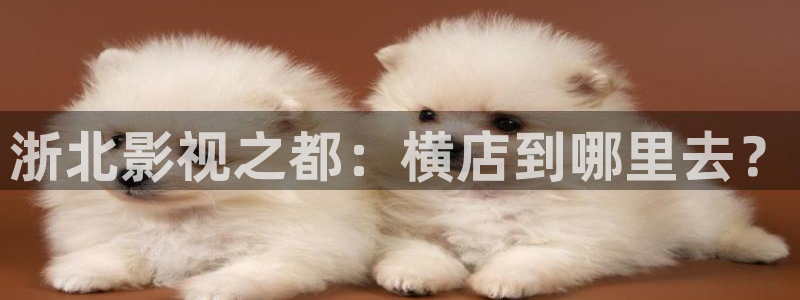 四库影院永久：浙北影视之都：横店到哪里去？